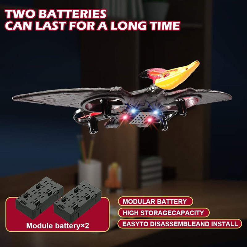 RC Plane Pterosaur 2.4G 6-Axis - Kids Toys Under $10 评论和价格