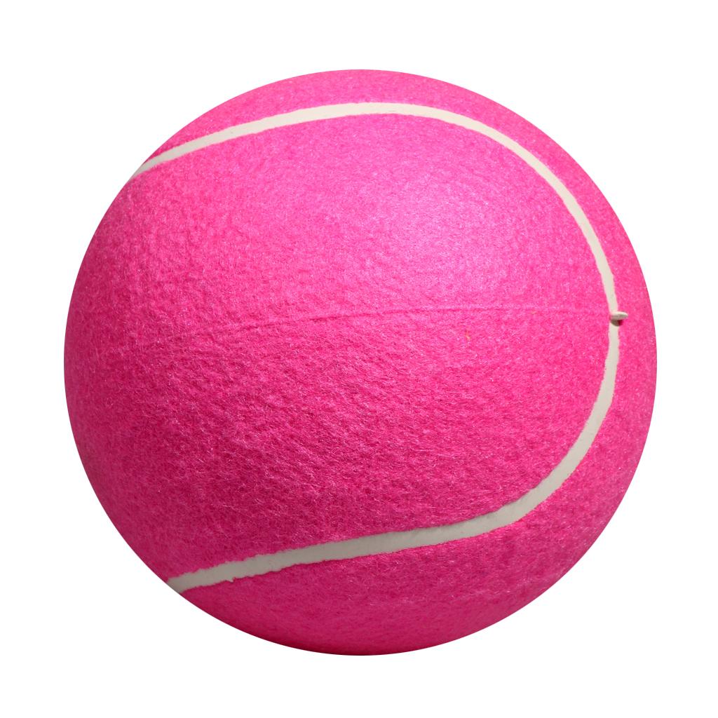 Dog Tennis Ball Toy Inflatable - Kids Toys Exhibition 评论和价格
